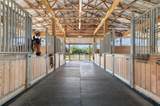 10910 Ruden Rd - Photo 20