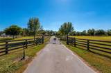 10910 Ruden Rd - Photo 34