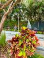 1450 Atlantic Shores Blvd - Photo 18