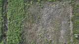 0 382nd Street - Photo 22