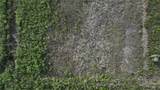 0 382nd Street - Photo 23