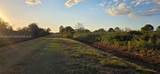 17385 314 St - Photo 16