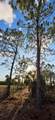 17923 298 St - Photo 10