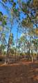 17923 298 St - Photo 12