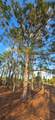17923 298 St - Photo 9