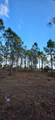 17975 298 St - Photo 20