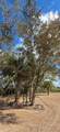 19946 254 St - Photo 11
