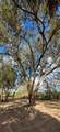 19946 254 St - Photo 15