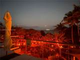 2301 Collins Ave - Photo 14