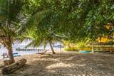  Roatan Island At Caribbean, Honduras - Photo 26