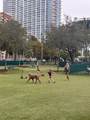1750 Bayshore Dr - Photo 11