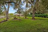 1981 Carbonata Drive - Photo 4