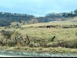  Great Sky Dr - Photo 32