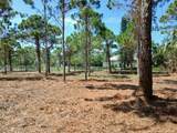 0000 Bobcat Run - Photo 2