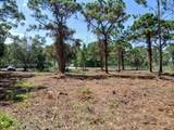 0000 Bobcat Run - Photo 4
