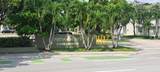 4255 University Dr - Photo 1