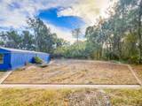 309 Holly Ave - Photo 6