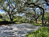 1831 Sabal Palm Dr - Photo 29