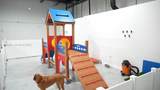 8347 36th St - Photo 7