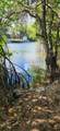 3601 Highway A1a - Photo 36