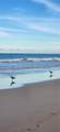 3601 Highway A1a - Photo 38