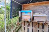 37225 214th Ave - Photo 46