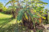 37225 214th Ave - Photo 47