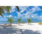 65821 Overseas Hwy #407 - Photo 4