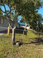 1913 Gardenia Rd - Photo 15