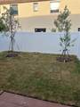 11447 34th Ct - Photo 48