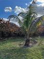 36 151st St - Photo 9