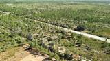 0 Portulaca Dr - Photo 10