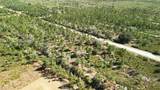 0 Portulaca Dr - Photo 11