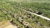 0 Portulaca Dr - Photo 12