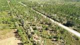 0 Portulaca Dr - Photo 13