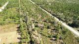 0 Portulaca Dr - Photo 14