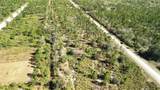 0 Portulaca Dr - Photo 15