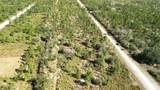 0 Portulaca Dr - Photo 16