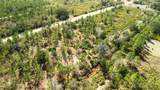 0 Portulaca Dr - Photo 22