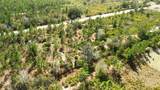0 Portulaca Dr - Photo 23