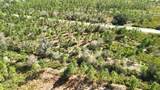 0 Portulaca Dr - Photo 27