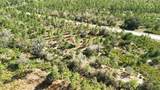 0 Portulaca Dr - Photo 28