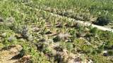 0 Portulaca Dr - Photo 29