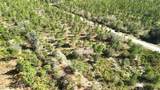 0 Portulaca Dr - Photo 30