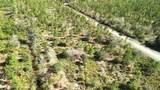 0 Portulaca Dr - Photo 31