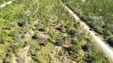 0 Portulaca Dr - Photo 33