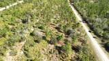 0 Portulaca Dr - Photo 34