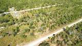 0 Portulaca Dr - Photo 45