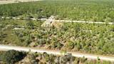 0 Portulaca Dr - Photo 49