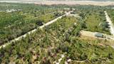 0 Portulaca Dr - Photo 60